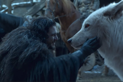 Jon petting Ghost, the good boy