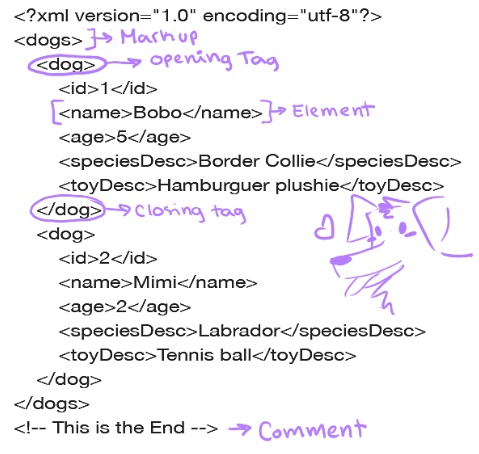 Doggie XMl